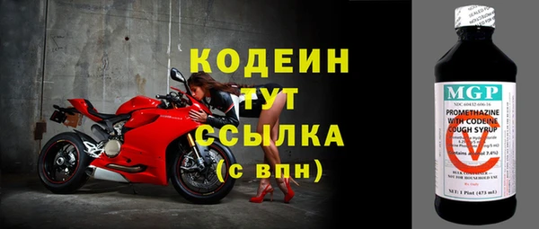 молекула духа Богданович