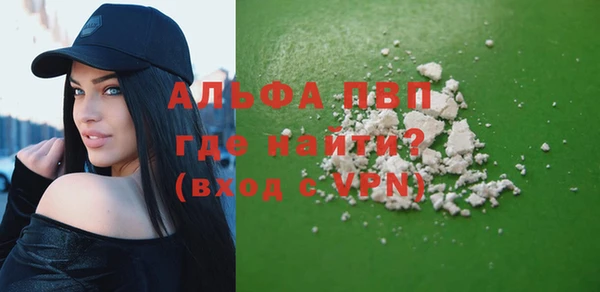 индика Богородицк