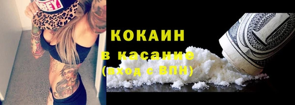 молекула духа Богданович