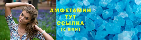 индика Богородицк