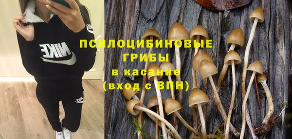 индика Богородицк