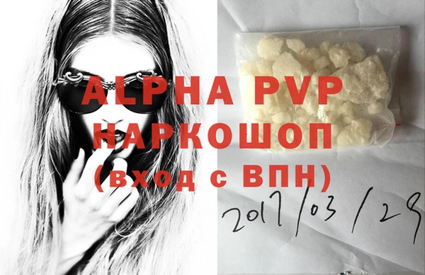 индика Богородицк