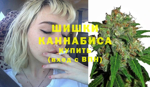 стаф Богородск