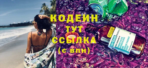 молекула духа Богданович