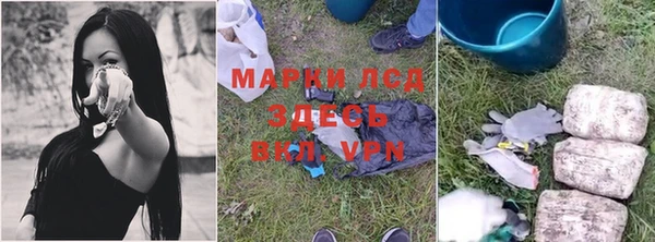 стаф Богородск