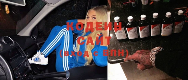 молекула духа Богданович