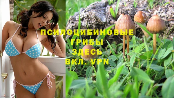 спайс Белокуриха