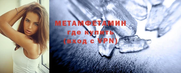 индика Богородицк